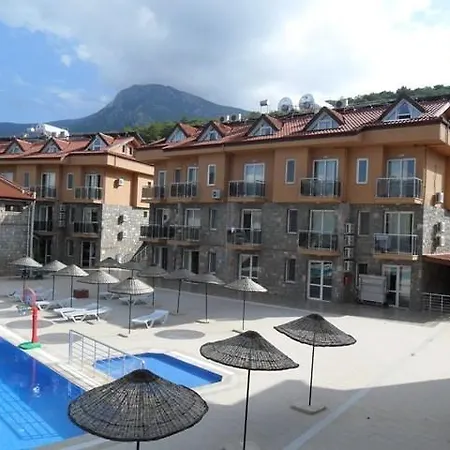 Flora Palm 페티예